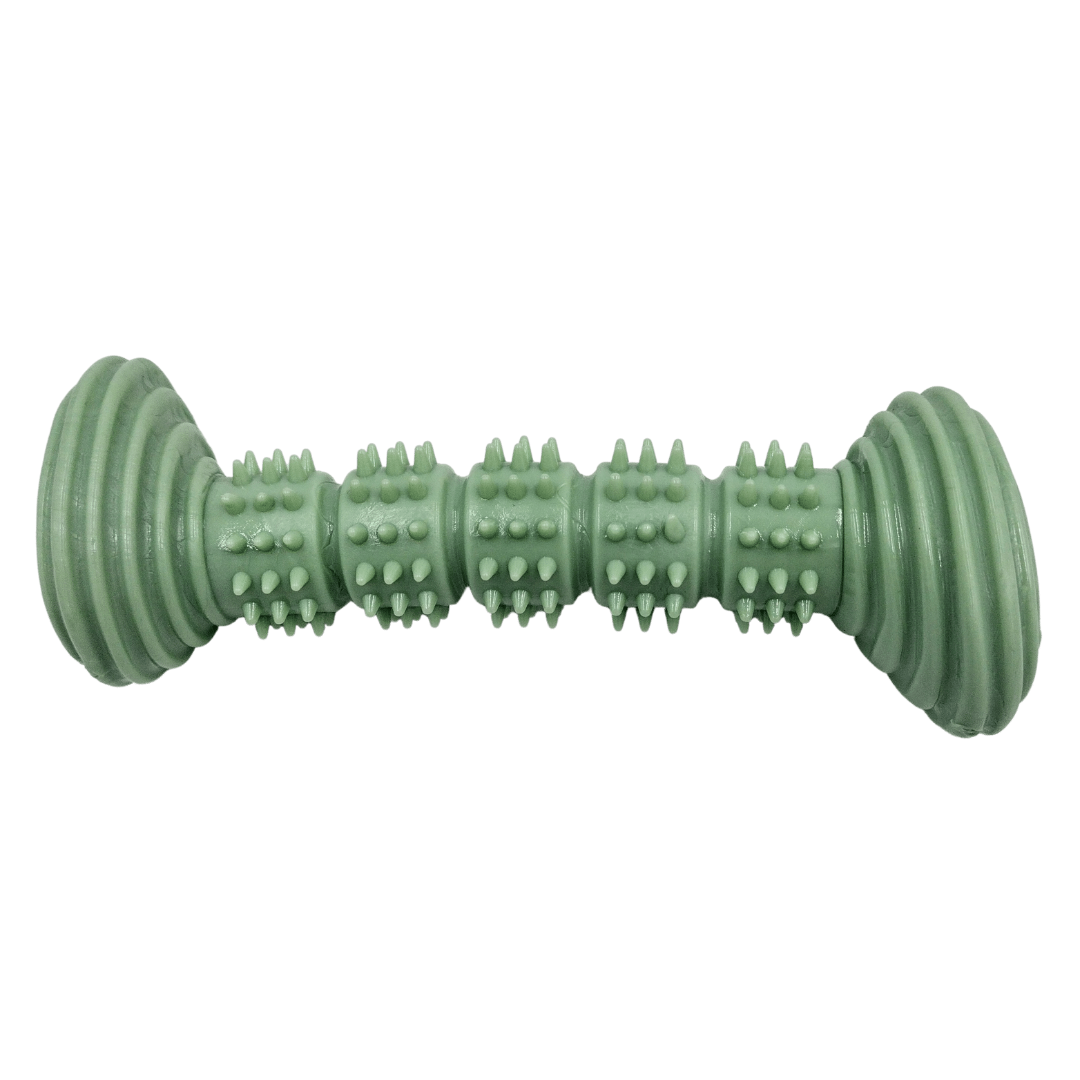 Green Spiked Chew Toy