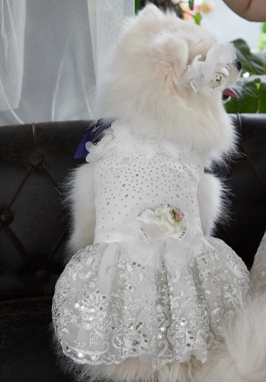 White Wedding Doggie Dress